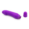ToyJoy SeXentials Delight Mini Vibe