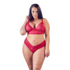 Cottelli Plus Size Red Lace Bra And Briefs Cottelli Plus Size Red Lace Bra And Briefs