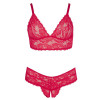 Cottelli Plus Size Red Lace Bra And Briefs Cottelli Plus Size Red Lace Bra And Briefs
