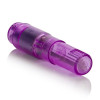 Berman Center Athena Mini Vibrator Berman Center Athena Mini Vibrator