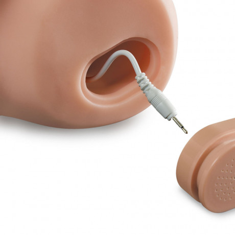 PDX Dirty Talk Interactive My Cock Masturbator PDX Dirty Talk Interactive My Cock Masturbator