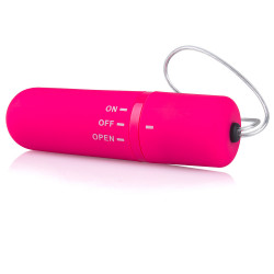 Screaming O My Secret Remote Panty Set Screaming O My Secret Remote Panty Set