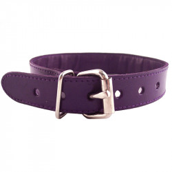 Rouge Garments Purple Studded ORing Studded Collar