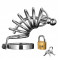 Asylum 6 Ring Locking Chastity Cage